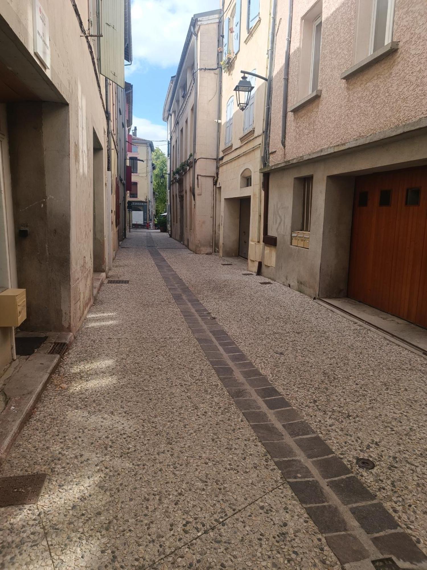 Romans-sur-Isère Grand Studio Meuble Chez Coco מראה חיצוני תמונה